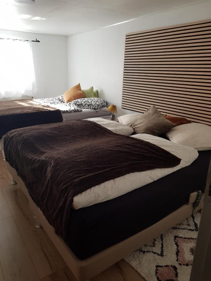 Trandafir Guesthouse Егтвед Екстер'єр фото