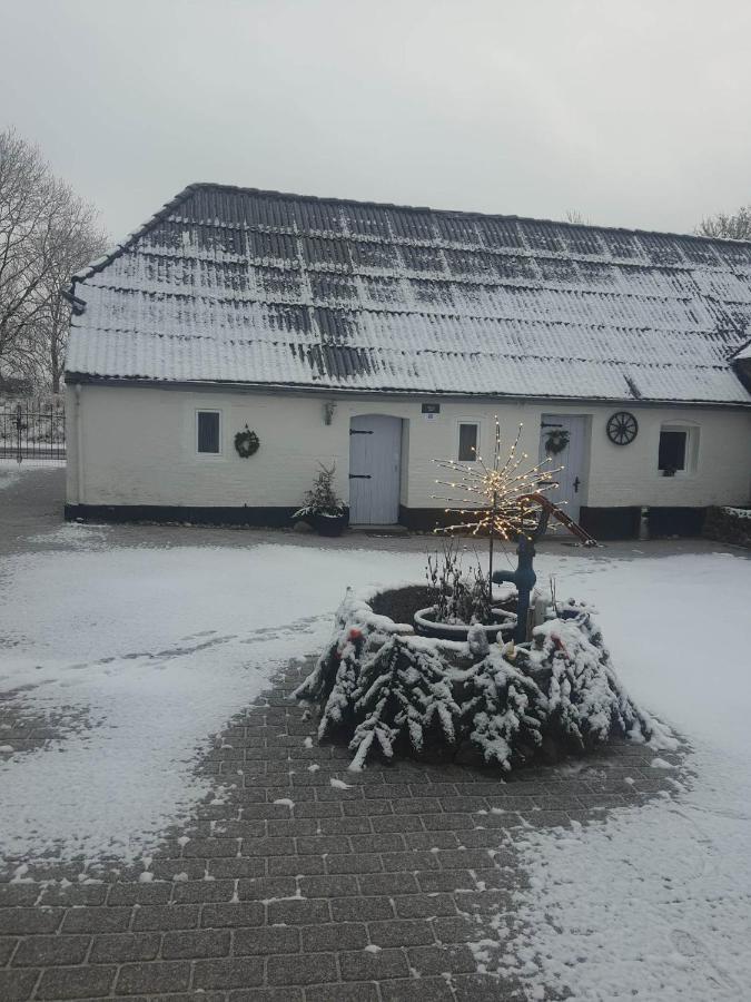 Trandafir Guesthouse Егтвед Екстер'єр фото